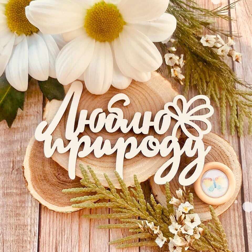 Scrap Home Интернет Магазин